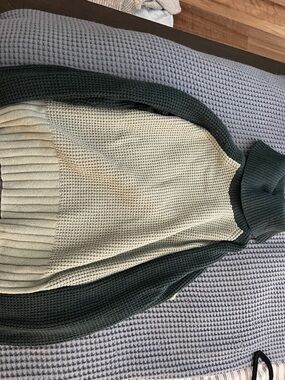Madewell Two-Tone Cream and Dark Green Turtleneck Sweater